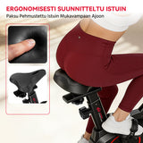 Paikallaan Oleva Kuntopyörä C1, Vauhtipyörä 6 KG
